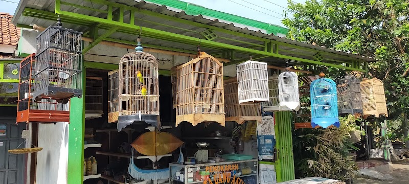 Rush Burung Anakan: Jantung Hobi Burung di Cilacap